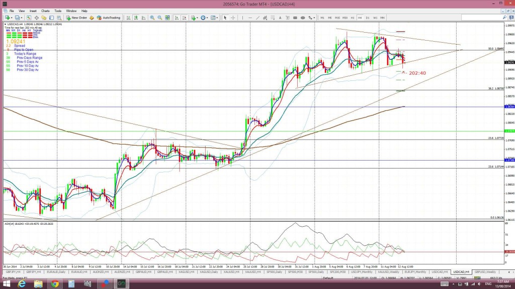 Loonie4hr