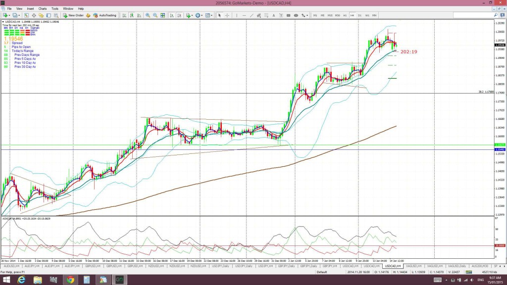 Loonie4hr