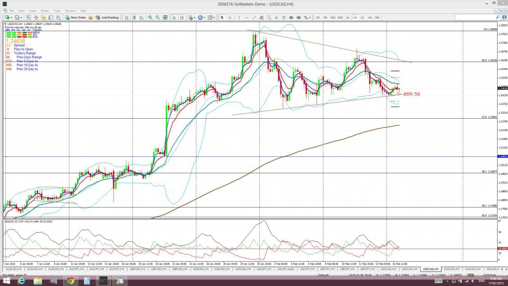 Loonie4hr